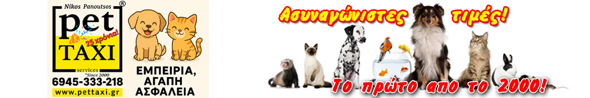 Pettaxi.gr since 2000